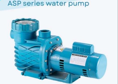 ASP100 Wasserpumpen für Schwimmbäder