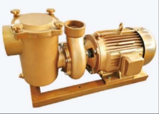 BP30 Wasserpumpen für Schwimmbäder