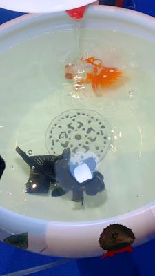 Chinesische keramische Fisch-Schüssel des Pfingstrosen-Muster-520mm mit Lampe