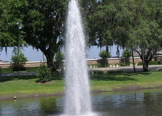 Wasser-Brunnen Jet For Swimming Pool des Edelstahl-Eis-Turm-DN80