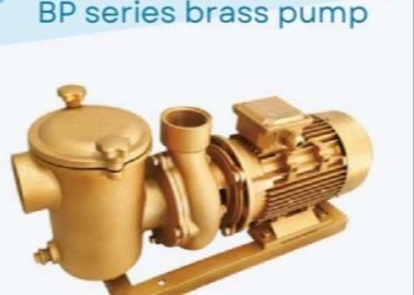 BP30 Wasserpumpen für Schwimmbäder